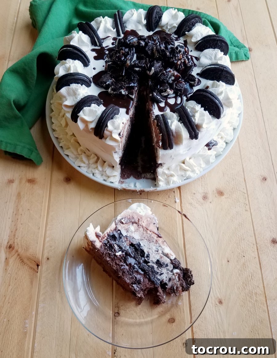 The first slice of a homemade layered ice cream cake, featuring a rich fudgy Oreo center and elegantly piped whipped cream, served on a small plate.