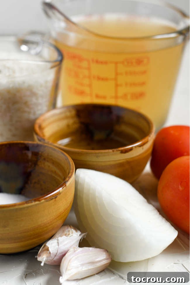 Ingredients including rice, broth, tomatoes, onion, garlic, and seasonings ready to be made into Mexican restaurant style rice.