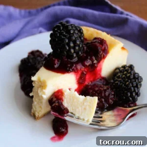 A delectable slice of creamy cheesecake drizzled with blackberry sauce, ready to be served.