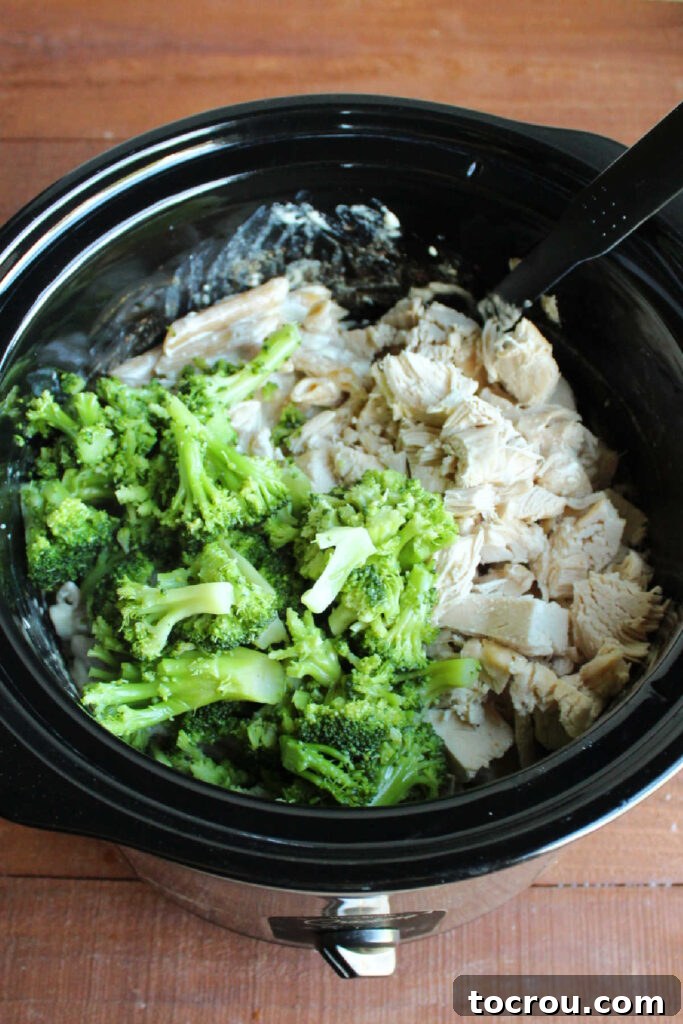 Chopped chicken and steamed broccoli florets being added to the slow cooker, which contains the creamy cooked pasta, for the final stir.