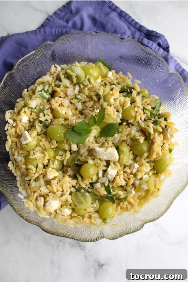 A generous portion of grape, mint, and orzo salad, perfect for any gathering or family meal. Large serving bowl filled with Mediterranean orzo salad, garnished with fresh mint leaves and halved grapes, ready for serving.