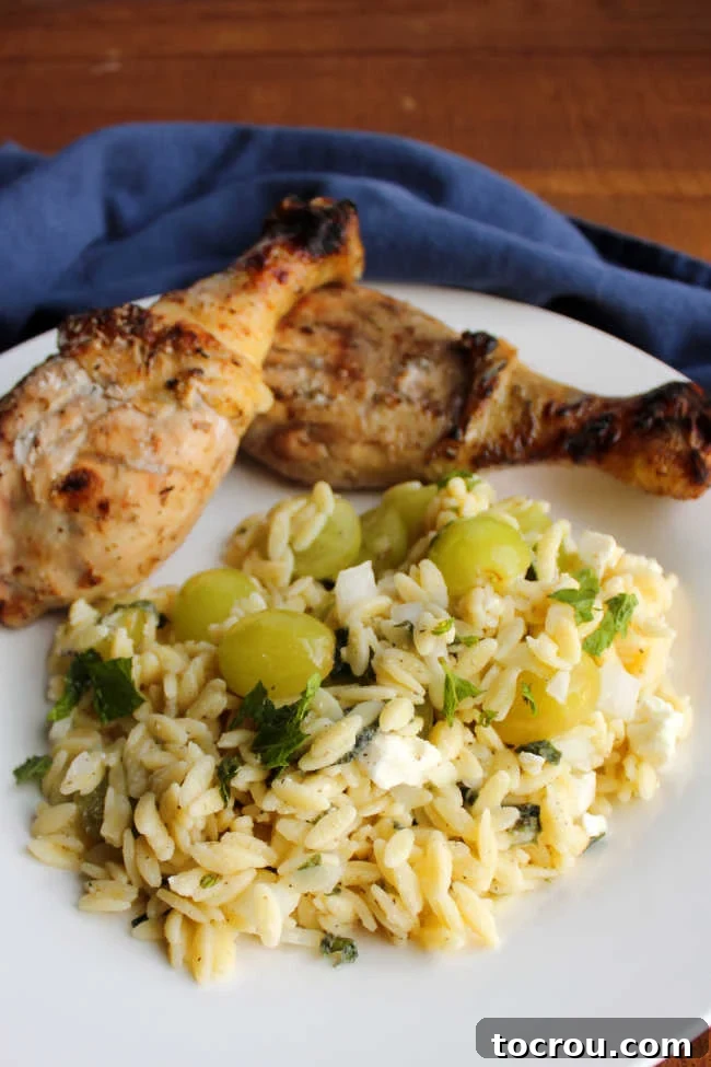 A delightful sweet and savory pasta salad, perfectly portioned for a meal with grilled chicken. Close-up of Mediterranean orzo salad on a white plate with grilled chicken legs, highlighting the colorful ingredients and perfect portion size.