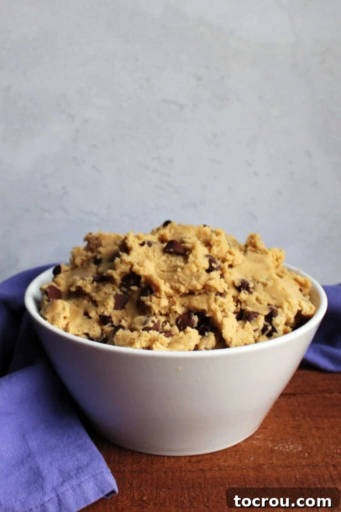 A Bowl Full of Chocolate Chip Cookie Dough Dip A pristine white bowl overflowing with a rich, decadent chocolate chip cookie dough dip, inviting you to take a spoonful.