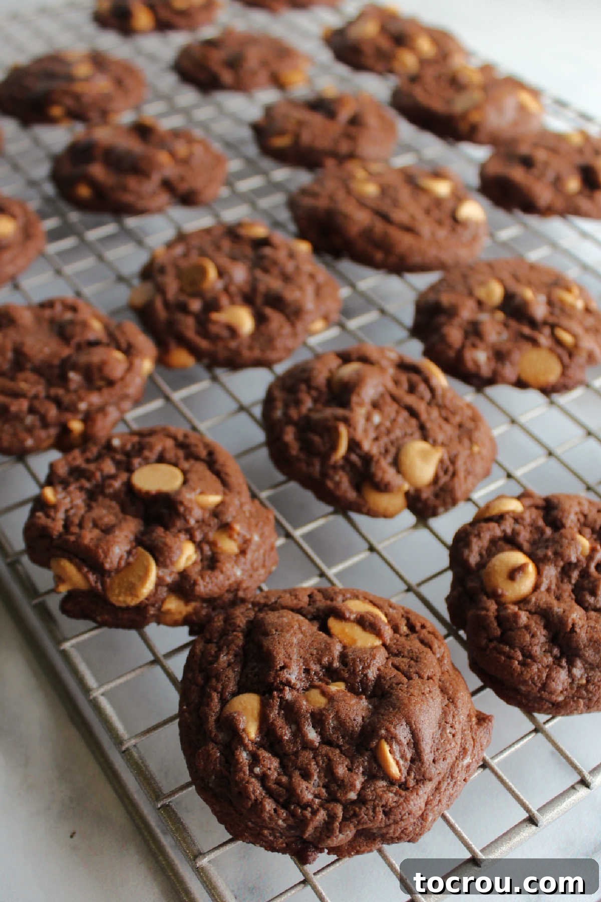 A batch of warm, freshly baked chocolate cake mix cookies with melted peanut butter chips cooling on a wire rack.