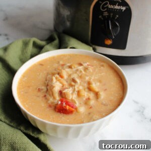 Bowl of creamy soup with white beans, chicken and bits of tomato showing in front of crock pot.