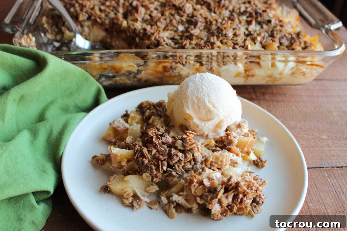 Serving of apple crisp with oat topping and chunks of apples in sweetened condensed milk with scoop of ice cream on top in front of pan with remaining apple crisp inside.