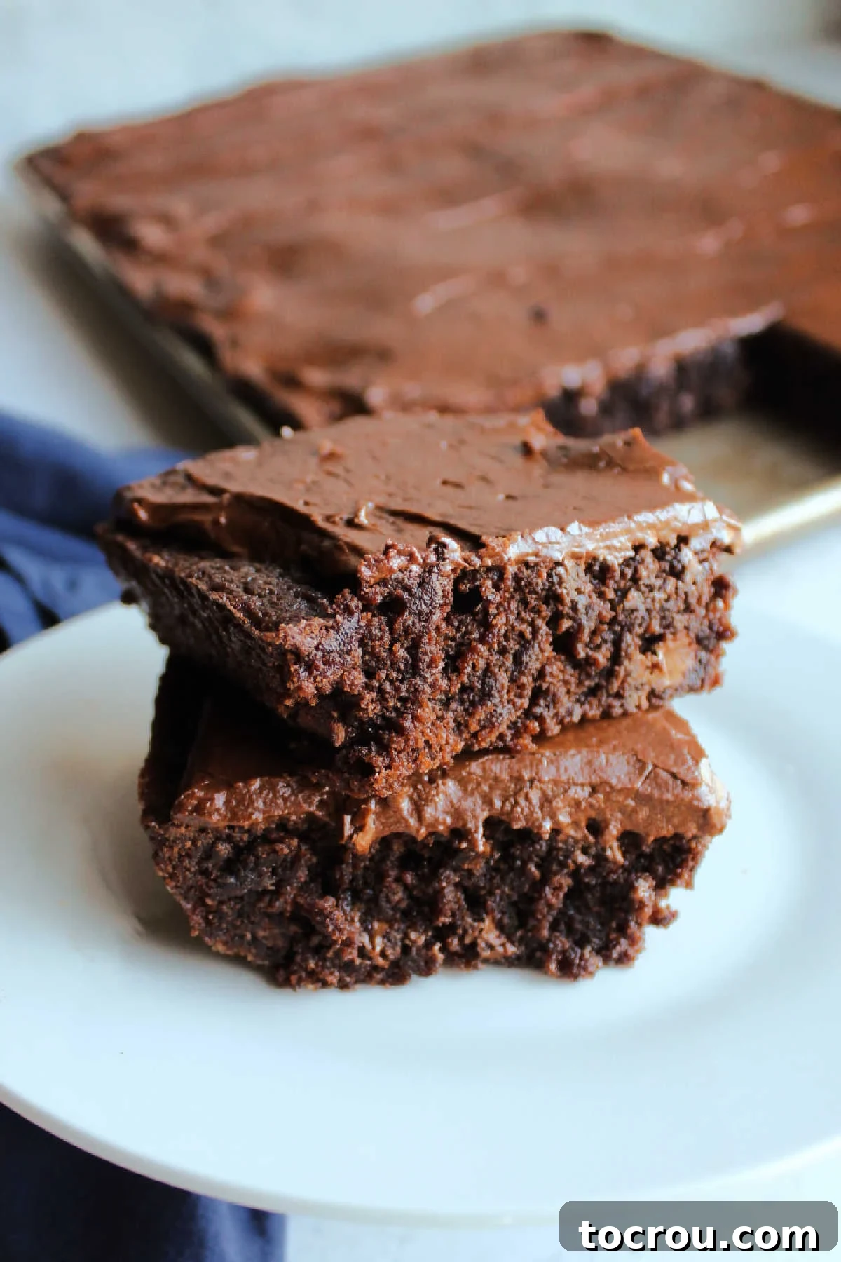 Ready to Eat Lunch Lady Brownies Dessert plate with two frosted lunch lady brownies ready to eat.