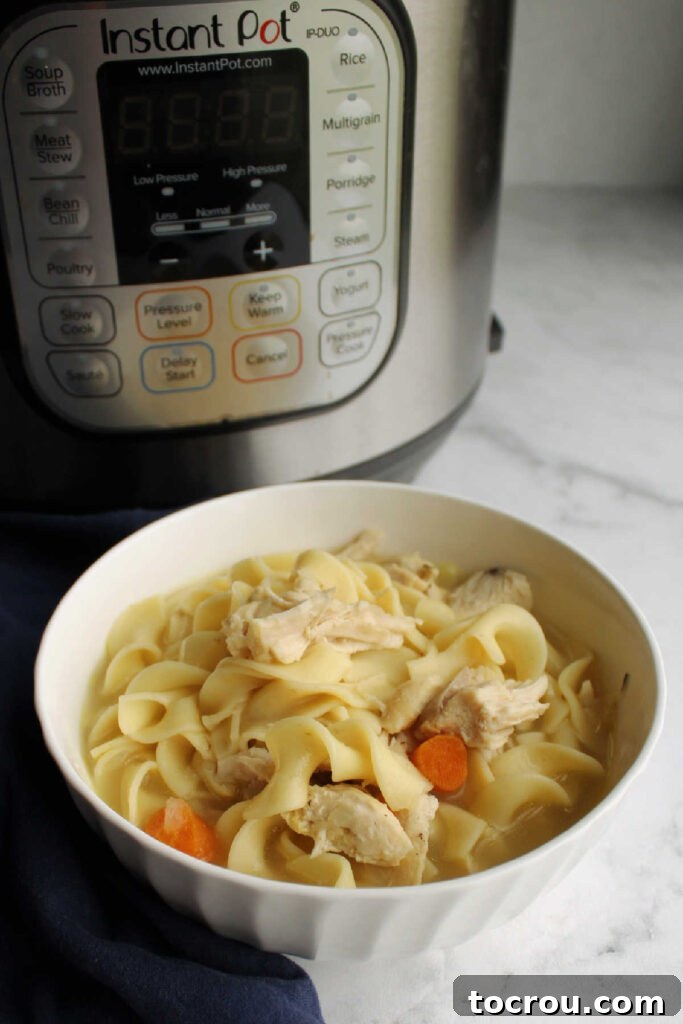 Flexible Chicken Noodle Soup: Instant Pot and Slow Cooker Ready 8 A cozy bowl of chicken noodle soup, rich with carrots and tender chicken, placed invitingly in front of the Instant Pot where it was prepared, signifying a delicious, ready-to-eat meal.