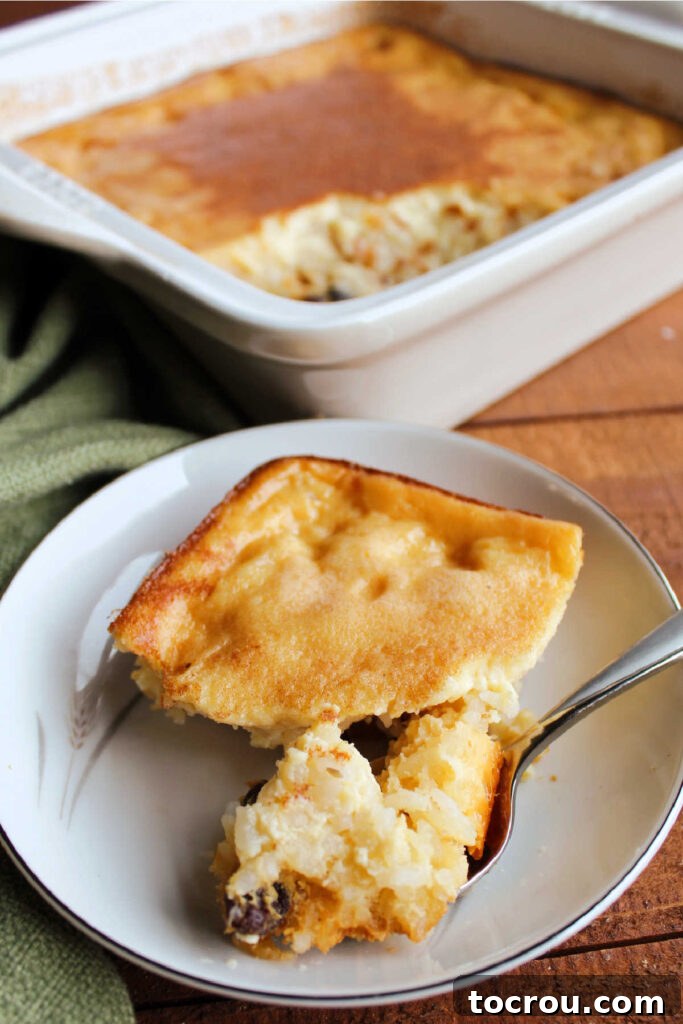 Velvety Condensed Milk Baked Rice Pudding 8 Served piece of baked rice pudding in front of pan of remaining rice pudding.