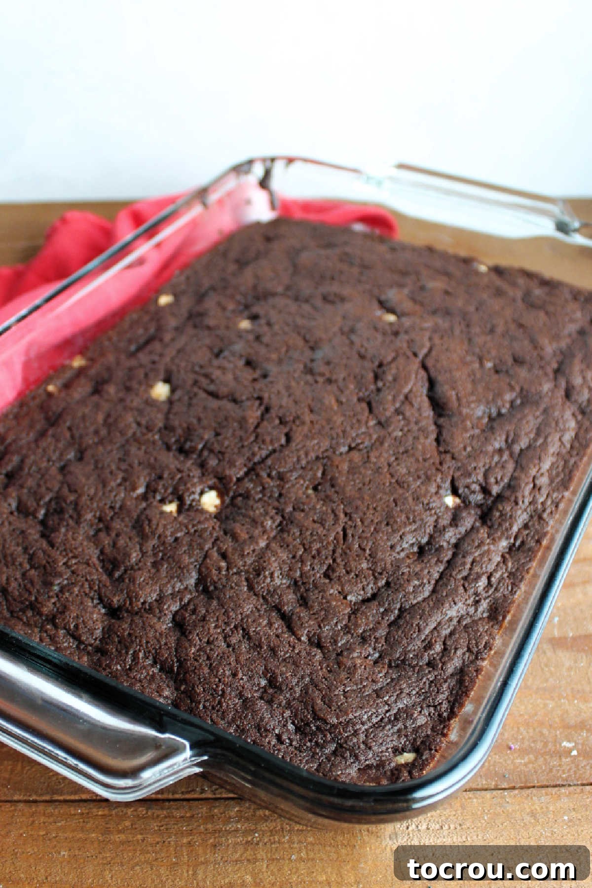 9x13 pan of freshly baked brownies.