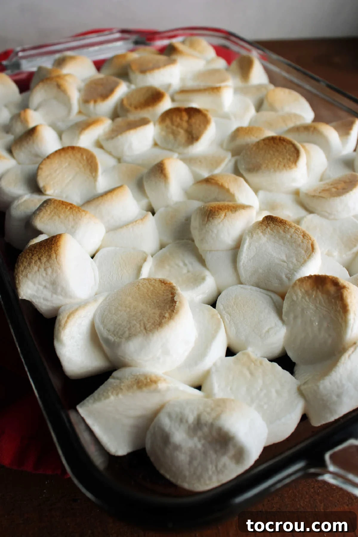 Lightly toasted marshmallows on top of brownies.