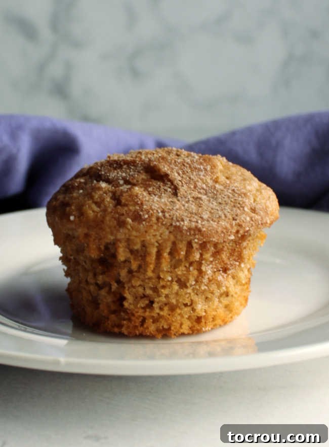 Perfectly Baked Cinnamon Muffin Plate with cinnamon sugar muffin with cupcake paper removed, showing soft underneath and cinnamon sugar coated muffin top.