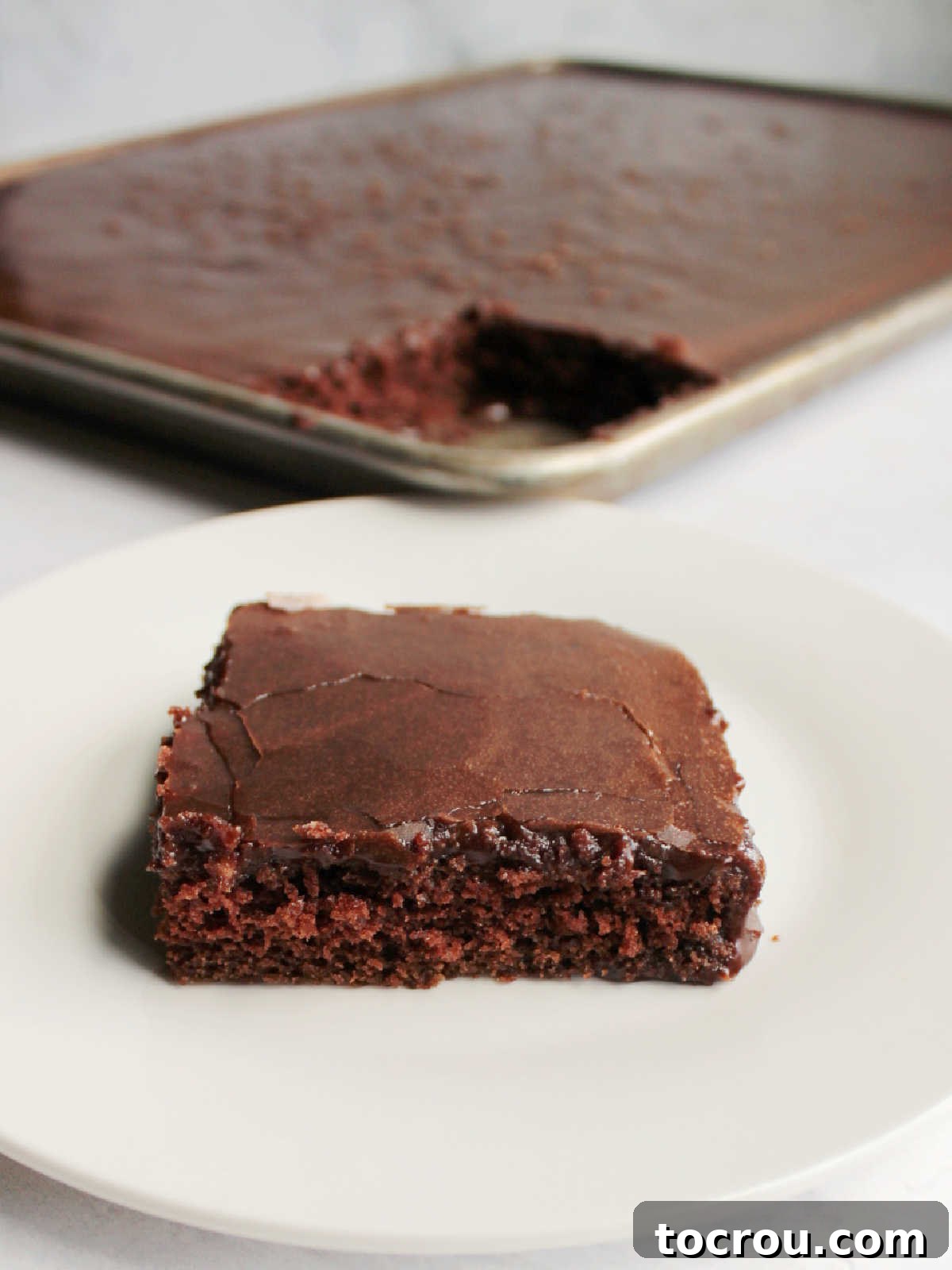 Texas Sheet Cake Slice on Plate A slice of chocolate Texas sheet cake on a white dessert plate, with the remaining cake in the sheet pan nearby.