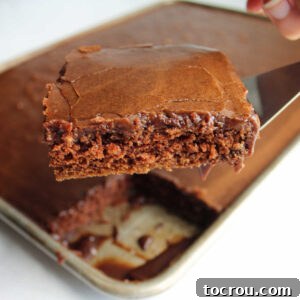 Lifting piece of chocolate Texas sheet cake out of pan showing moist chocolate cake and smooth fudgy icing.