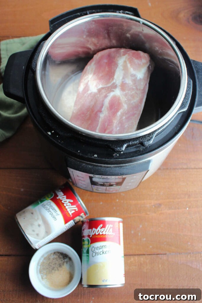 Fork Tender Pork Loin with Velvety Gravy 4 pork loin in slow cooker with cans of soup and bowl of seasonings nearby.