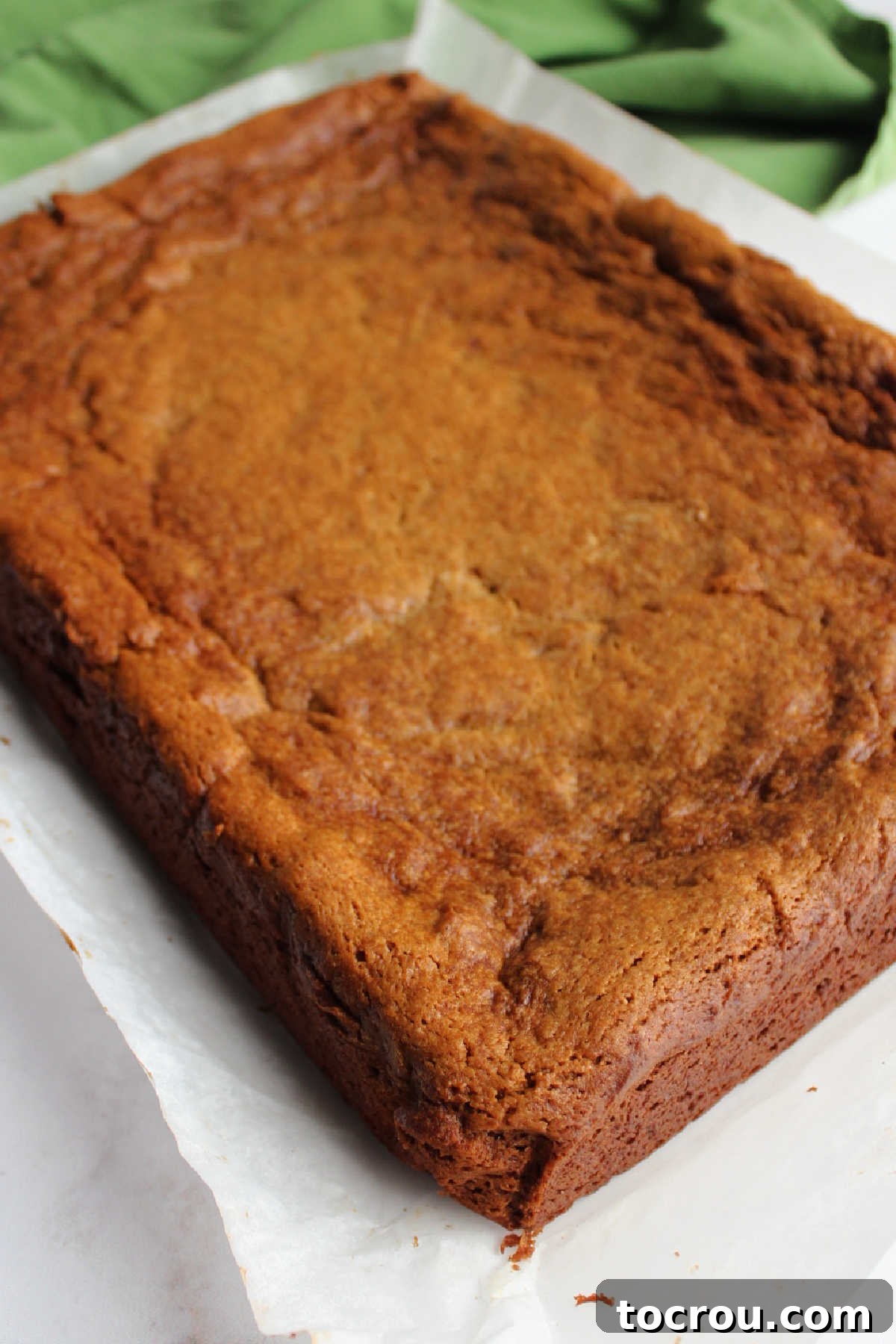 A thick, soft gingerbread cookie bar, freshly baked and golden brown, just removed from a 9x13-inch pan and cooling on a wire rack, ready for frosting.