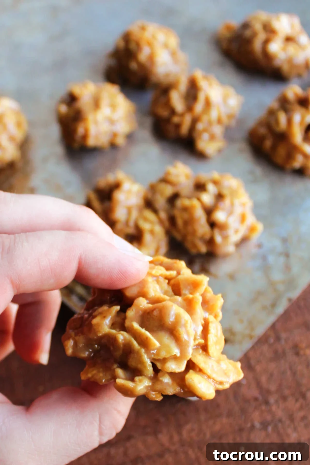 A hand gently holding a single, perfectly formed No Bake Peanut Butter and Honey Cornflake Cookie, showcasing its appealing texture.