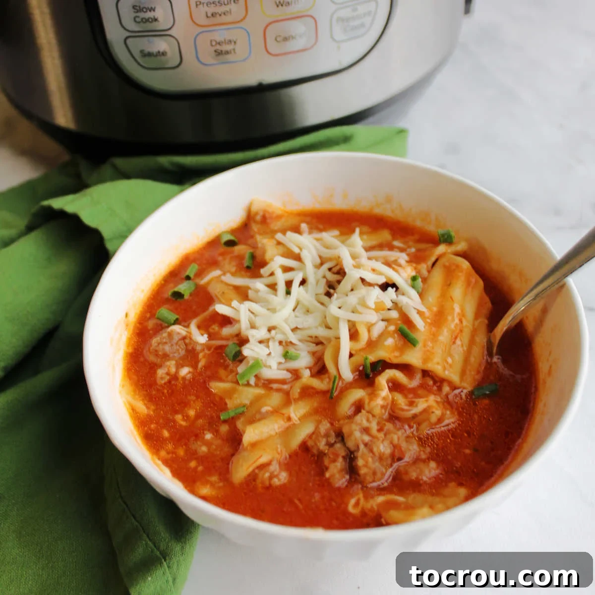 Bowl of lasagna soup topped with cheese and chives in front of instant pot.