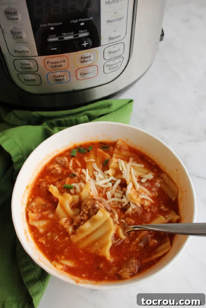 Bowl of lasagna soup with tomato broth, bits of sausage, pieces of pasta, and shredded mozzarella cheese on top.