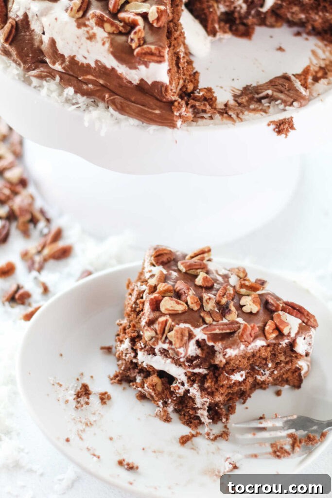 Slice of chocolate mississippi mudslide cake next to cake plate with remaining cake.
