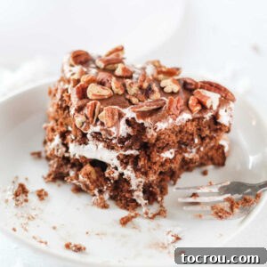 Bite out of mudslide cake with chocolate, marshmallow fluff, pecans and coconut.