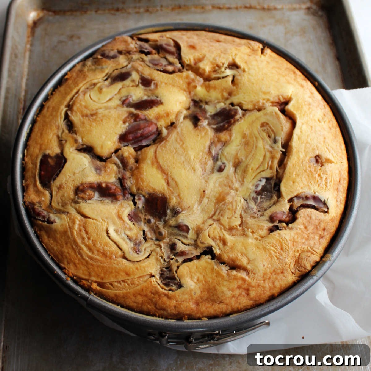 Freshly baked pecan pie cheesecake in springform pan, ready to cool. 