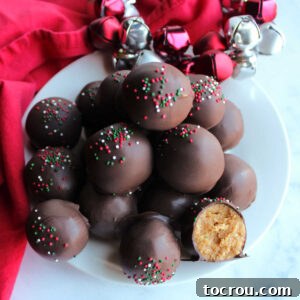 Plate of chocolate-dipped Nutter Butter truffles with the peanut butter center of one showing.