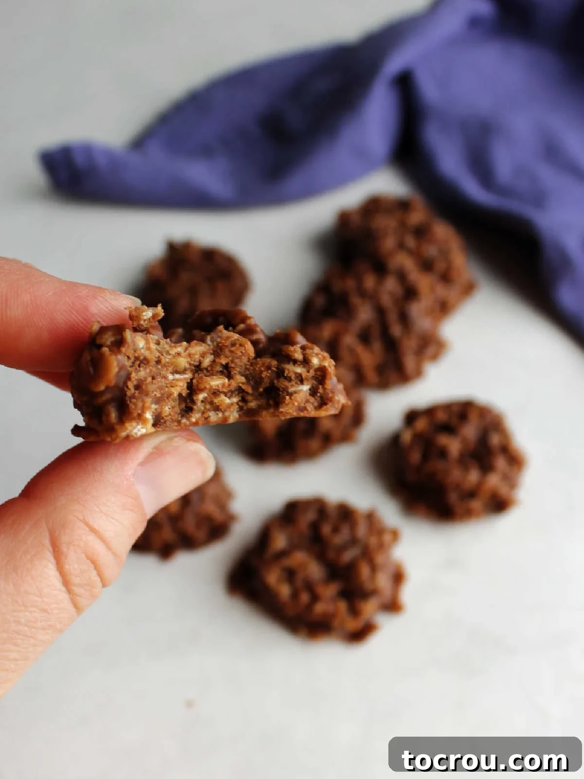 Chocolate Peanut Butter No-Bake Oatmeal Delights 5 hand holding no bake cookie with bite missing.