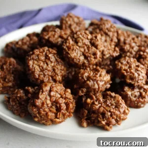 Plate of shiny chocolate no bake peanut butter and oatmeal cookies ready to be eaten.