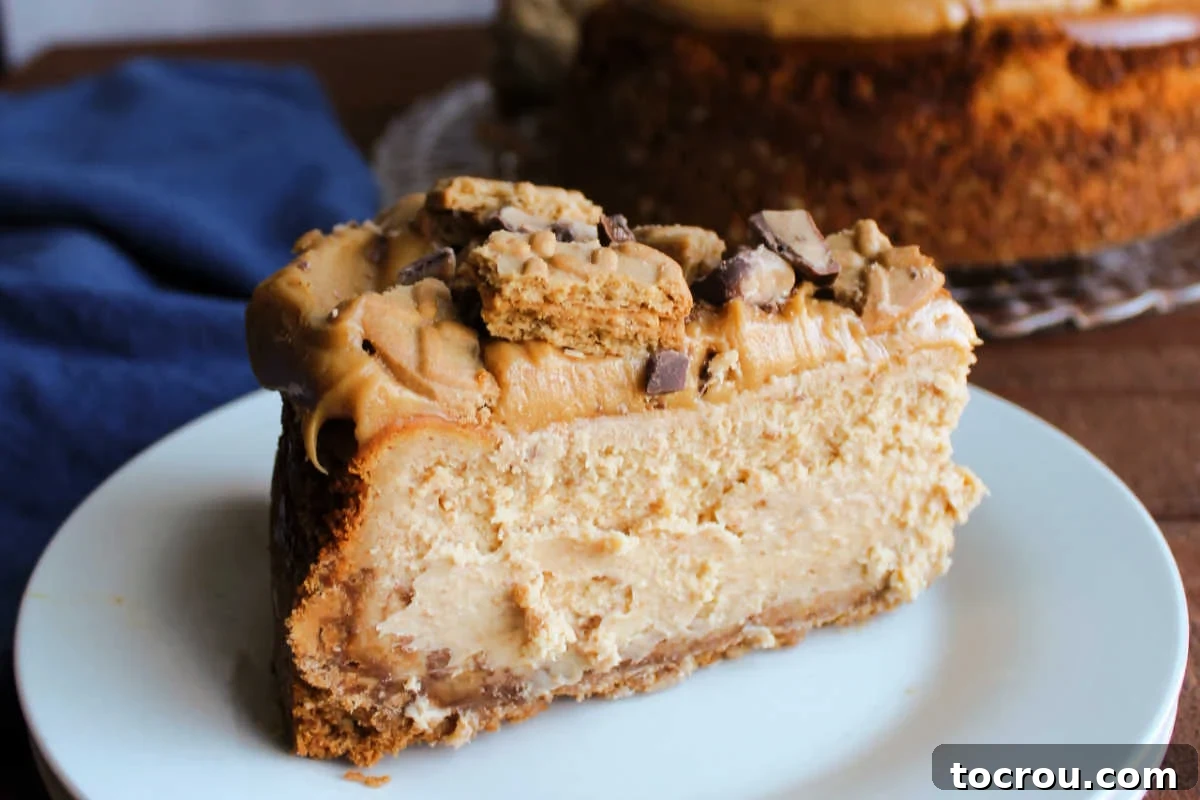 Peanut Butter Toffee Cheesecake Slice Close up of a slice of peanut butter toffee cheesecake with peanut butter topping, condensed milk cheesecake filling, and bits of nutter butters and heath bars on top.