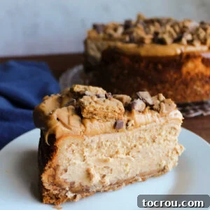 Slice of peanut butter toffee cheesecake with toffee and cookie crumb crust, rich peanut butter cream cheese filling, and peanut butter whipped cream topping with chunks of peanut butter cookie and chocolate coated toffee bits for garnish, ready to eat.
