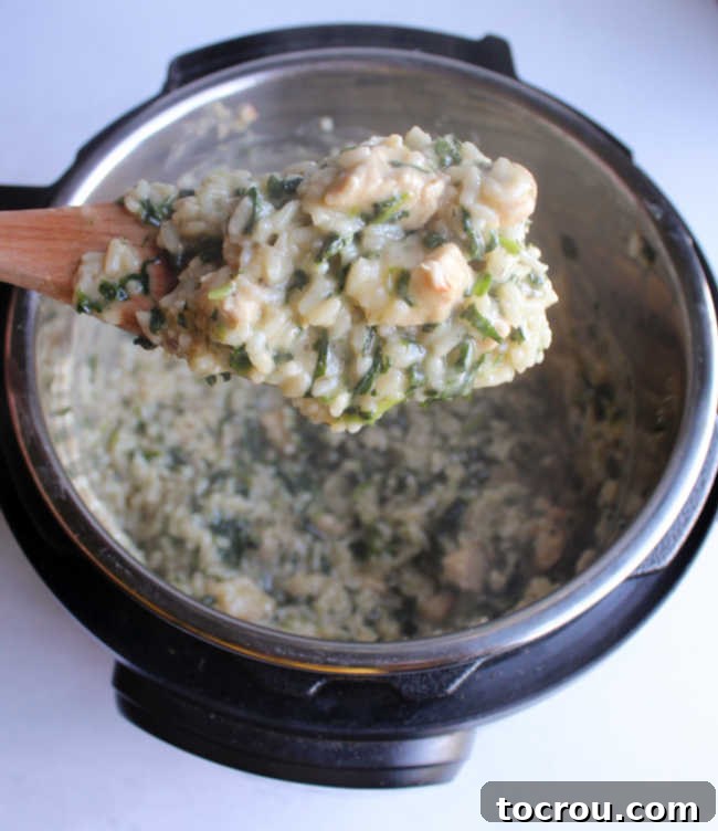 spoonful of steaming hot spinach chicken risotto being lifted out of the pot