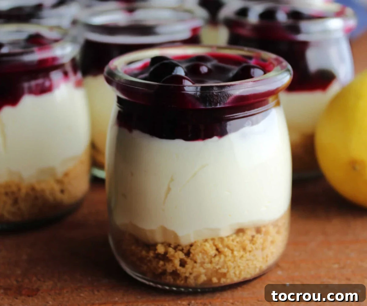 Quick Lemon Berry Jar Cheesecakes 2 Close up of a small glass jar with a serving of no bake lemon cheesecake with a layer of graham cracker crumb crust on the bottom, cheesecake in the middle, and blueberry sauce on top.