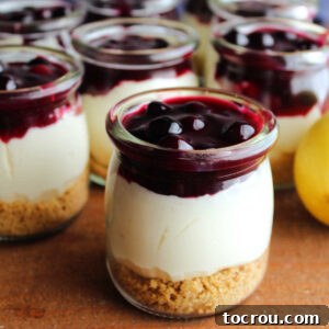 Small glass jars filled with graham cracker crust, fluffy no bake lemon cheesecake, and blueberry sauce.