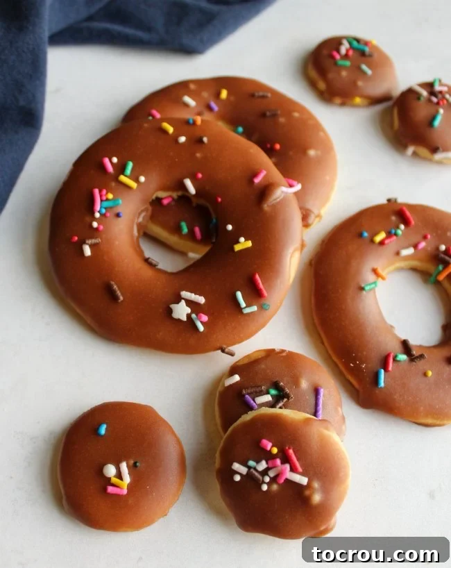 donut shaped sugar cookies with setting fudge icing and sprinkles on top