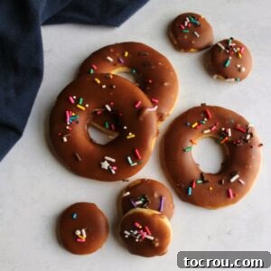 Donut shaped sugar cookies topped with hardened chocolate icing and colorful sprinkles.