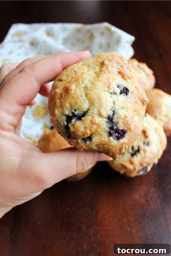 Whole Blueberry Muffin with Sour Cream Batter Hand holding a whole blueberry muffin, highlighting the soft sour cream batter and abundant fresh berries.