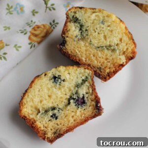 Inside of a soft blueberry muffin.