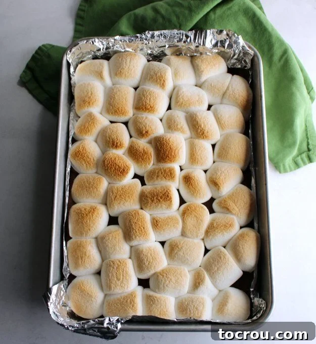 Golden Toasted Marshmallow S'mores Bars Pan of freshly baked s'mores bars with golden brown toasted marshmallows on top, just out of the oven.
