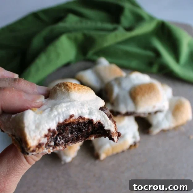 Individual S'mores Bar Ready to Enjoy Hand holding a s'mores bar with graham cracker crust, fudgy chocolate center, and golden brown melted marshmallows on top, showing its delectable layers.