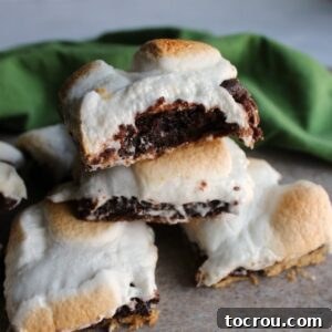 Stack of gooey chocolate bars with graham cracker base and toasted marshmallow on top