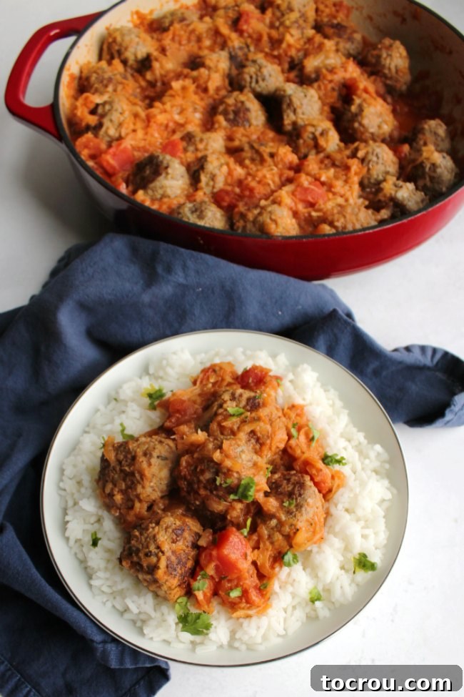 A heartwarming serving of porcupine meatballs nestled over a bed of fluffy rice in a bowl, with a pan of more delicious meatballs simmering in the background, creating a cozy and inviting scene.
