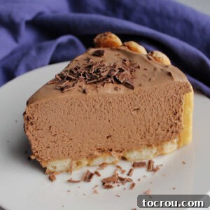A delectable slice of chocolate and coffee flavored no bake cheesecake, elegantly topped with delicate chocolate shavings.