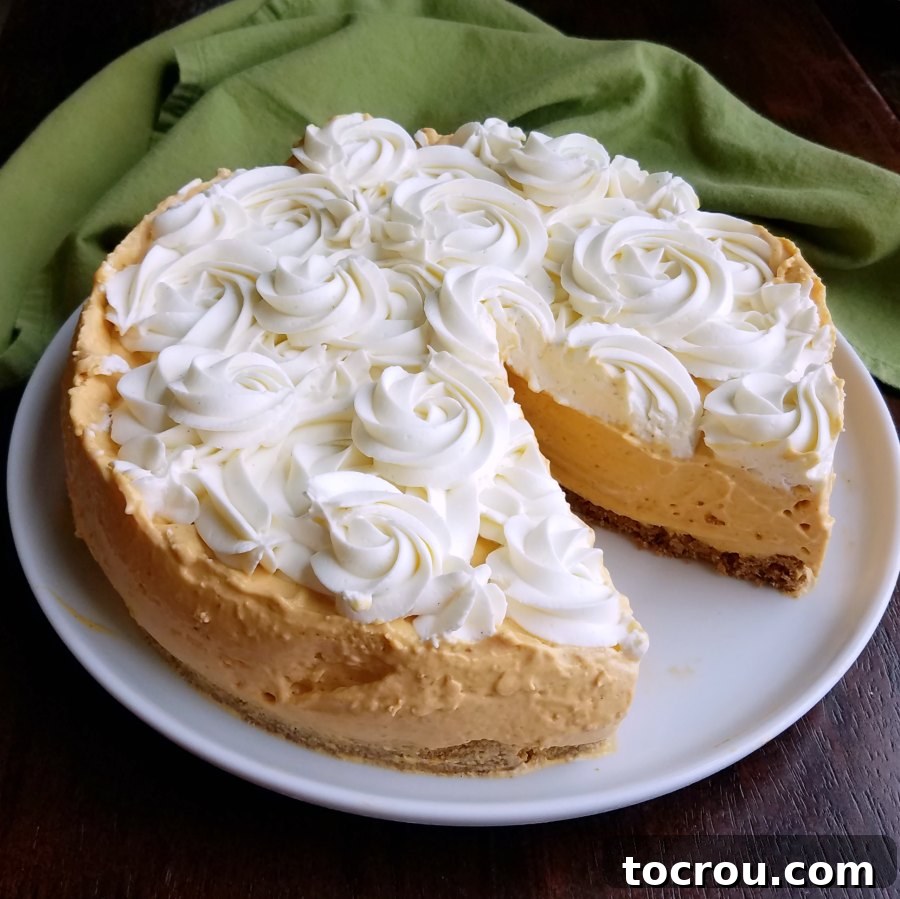 A festive no bake pumpkin cheesecake topped with delicate rosettes of cream cheese whipped cream, with one slice already removed, inviting you to try.