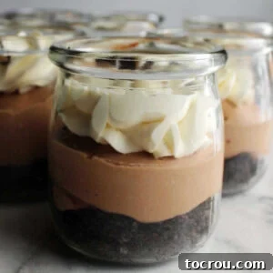 Small glass jar with layers of chocolate crumb crust, creamy chocolate middle, and piped ruffly white topping with mini chocolate chips.
