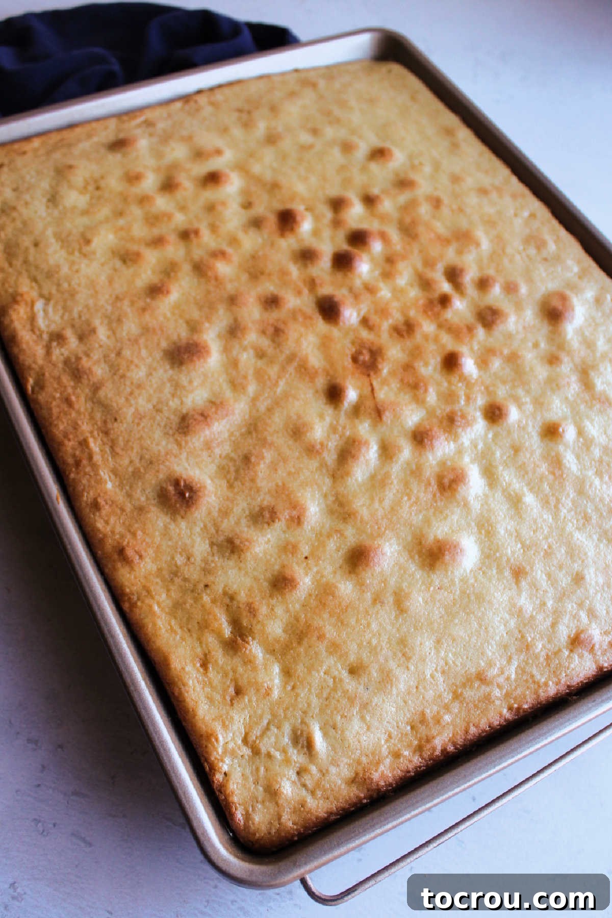 Golden brown vanilla cake in sheet pan fresh from the oven. 