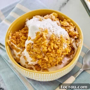 A tempting bowl of no-fry fried ice cream bars, showcasing a creamy vanilla and cinnamon ice cream mixture with caramelized, crunchy cornflake bits.
