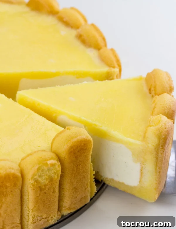 slice of orange cheesecake being pulled out from the rest of cake.