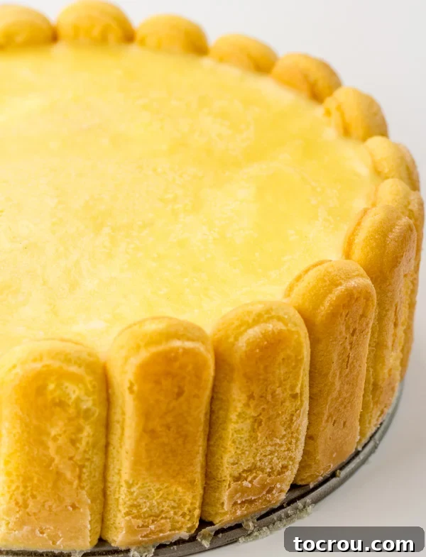 cheesecake rimmed with lady finger crust and orange pudding on top.