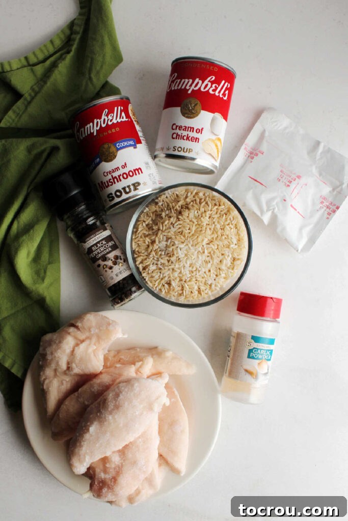 A collection of ingredients for creamy chicken and rice, including rice, canned soups, onion soup mix, and spices, laid out on a kitchen counter.